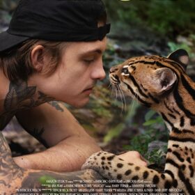 Wildcat