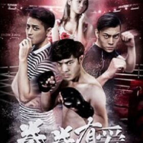 Yêu Boxer